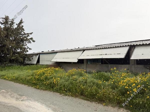 studio building for sale aradippou larnaca 8598121 image 17644633