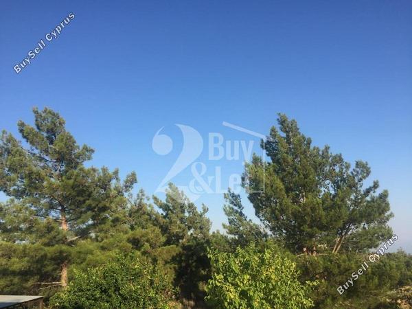 4 bedroom detached house off market kellaki limassol 1445221 image 5113111