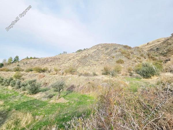 land for sale agia varvara paphos 7934221 image 11274547