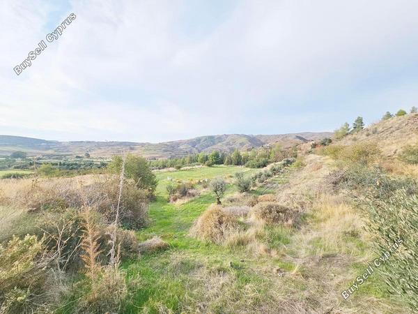 land for sale agia varvara paphos 7934221 image 11274549