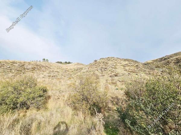 land for sale agia varvara paphos 7934221 image 11274556