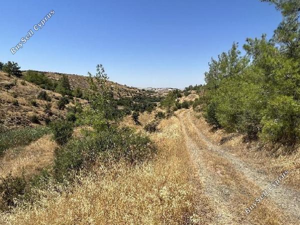 land for sale kapedes nicosia 1240221 image 6814694