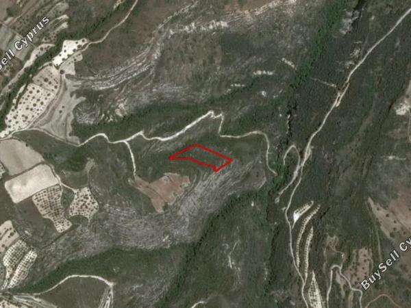 land for sale kritou tera paphos 828221 image 2807440