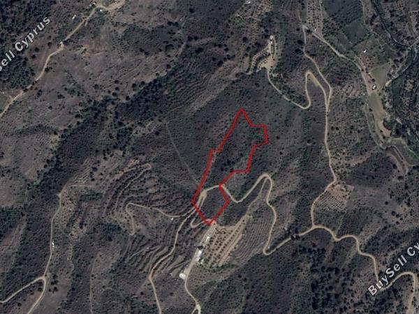 land for sale platanistasa nicosia 870221 image 15664090