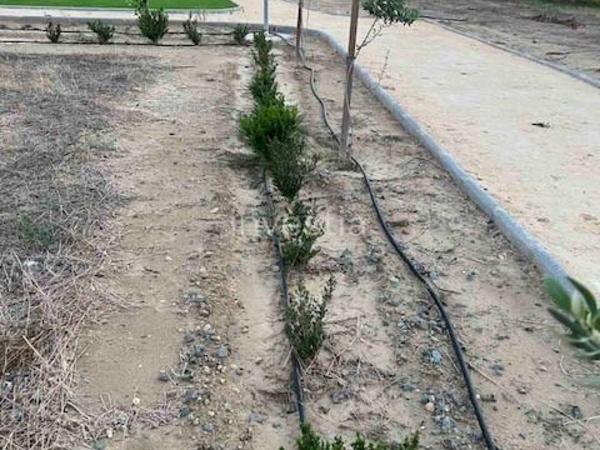 plot for sale pano lakatamia nicosia 8917221 image 17643319