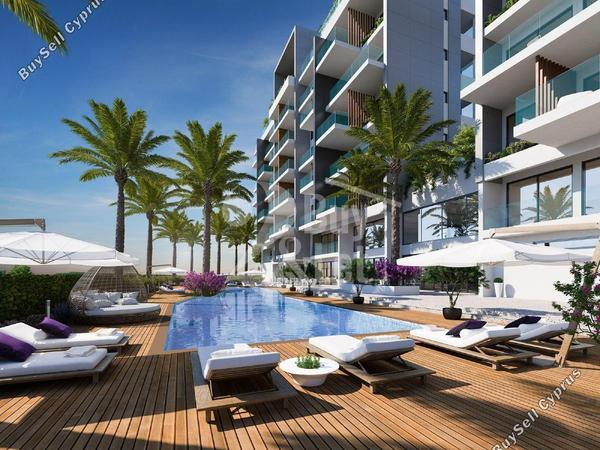 studio apartment for sale tombs of the kings paphos 8588221 image 16644353