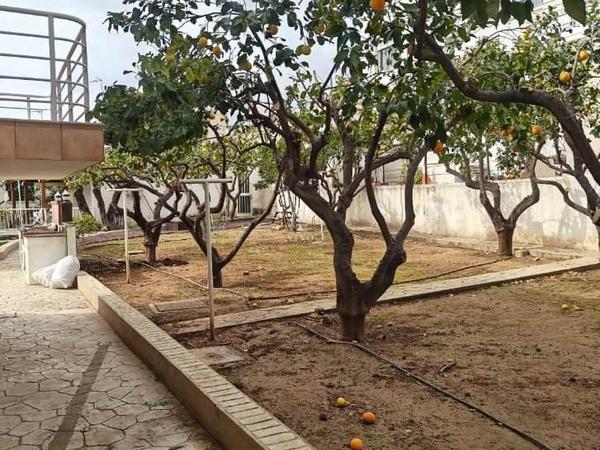 3 bedroom detached house for rent kapsalos limassol 8225321 image 14919097