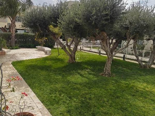 3 bedroom detached house for rent kapsalos limassol 8225321 image 14919100