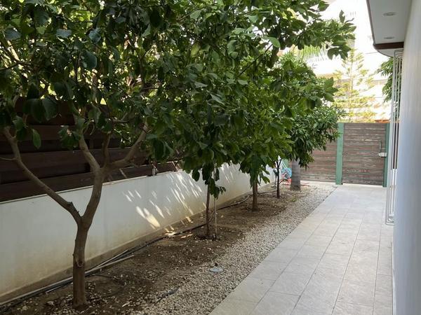 3 bedroom ground floor apartment for sale nicosia walled old city nicosia 8360321 image 14589736