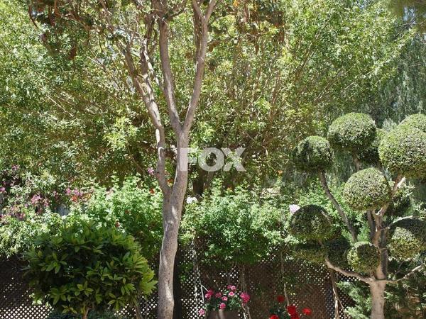 5 bedroom detached house for sale aphrodite hills paphos 8785321 image 16649099