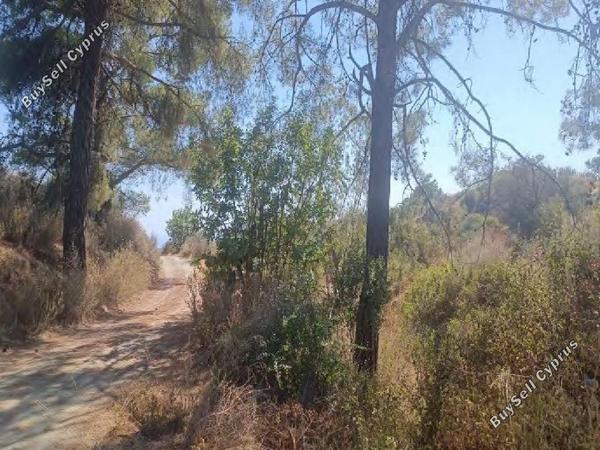 land for sale kellaki limassol 8968321 image 17869682