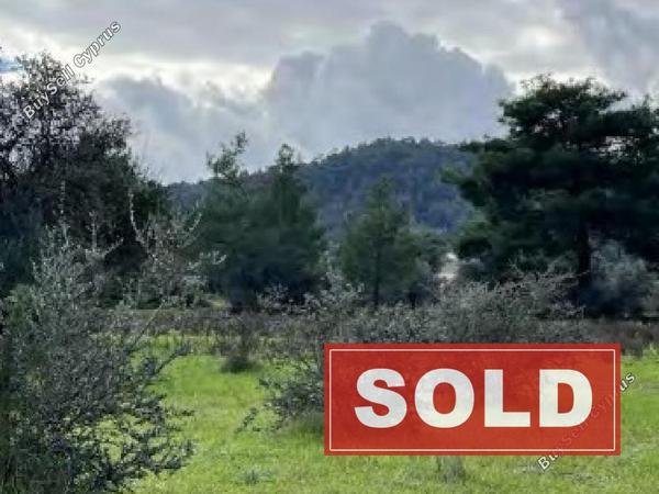 land sold lythrodontas nicosia 1828321 image 6430325