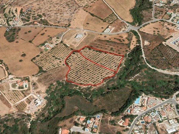 plot for sale tala paphos 1684321 image 6454799