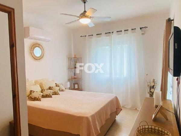 2 bedroom apartment for rent tala paphos 8649421 image 15949632