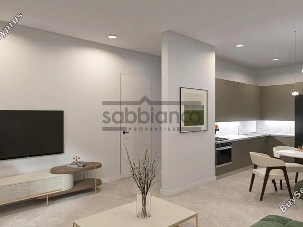 2 bedroom apartment for sale aradippou larnaca 8736421 image 16348627