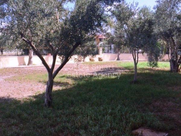 5 bedroom detached house for sale pano lakatamia nicosia 1152421 image 5153847