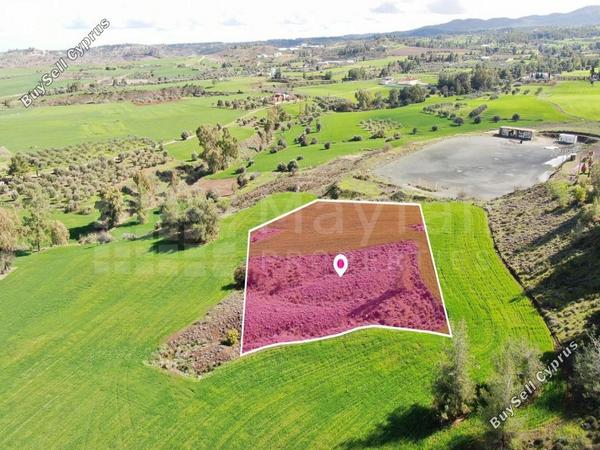 land for sale klirou nicosia 7872421 image 14030505