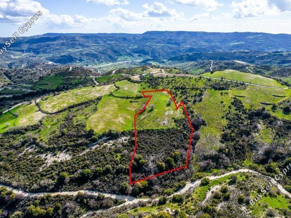 land for sale salamiou paphos 993421 image 7332236