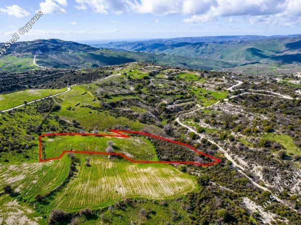 land for sale salamiou paphos 993421 image 7332239