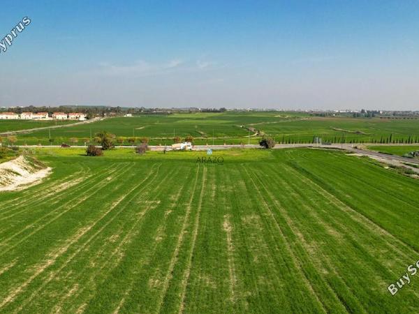 land for sale tersefanou larnaca 1652421 image 5669996