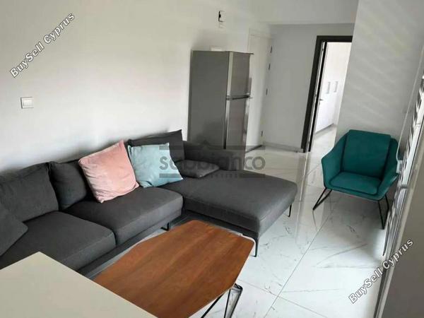1 bedroom apartment for rent agios dometios nicosia 8748521 image 16465652