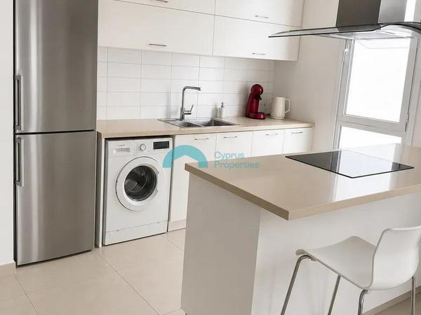 1 bedroom apartment for rent agios dometios nicosia 8764521 image 16548089
