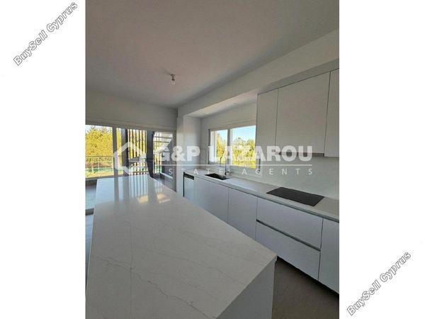 2 bedroom penthouse for rent kallithea nicosia 8151521 image 16649731