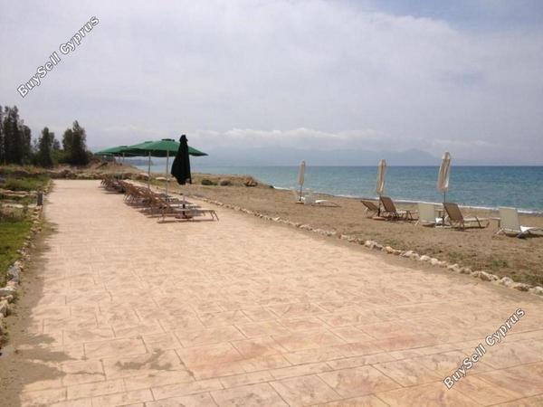 3 bedroom detached house for rent baths of aphrodite paphos 8525521 image 16182597