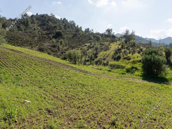 land for sale fikardou nicosia 8620521 image 15823791
