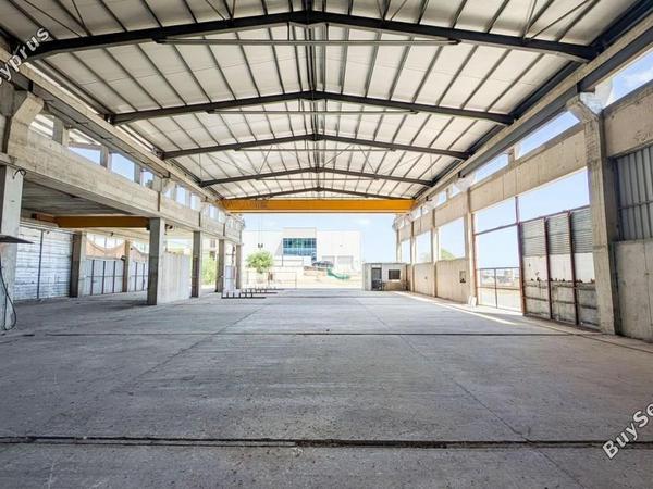 studio building for sale timi paphos 8982521 image 17968630