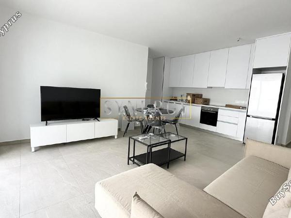 1 bedroom apartment for rent aglantzia nicosia 8827621 image 16983752