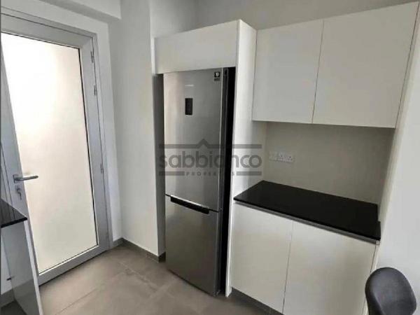 2 bedroom apartment for rent kato lakatamia nicosia 8752621 image 16504547