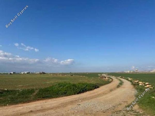 land for sale kokkinotrimithia nicosia 1868621 image 6894023