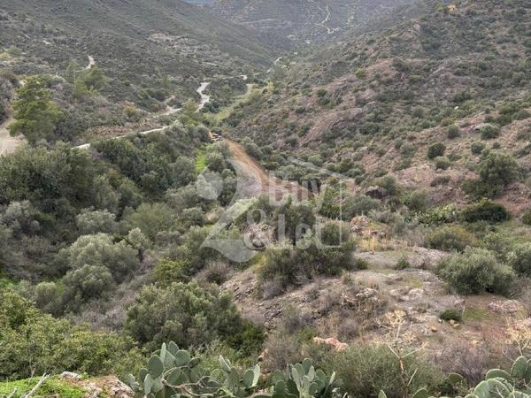 land for sale lageia larnaca 7619621 image 16697023