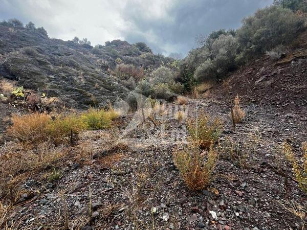 land for sale lageia larnaca 7619621 image 17758430