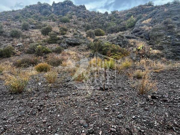 land for sale lageia larnaca 7619621 image 17758433
