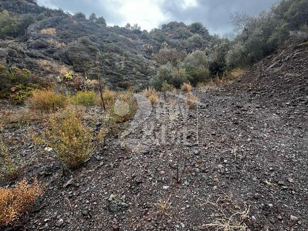 land for sale lageia larnaca 7619621 image 17911329