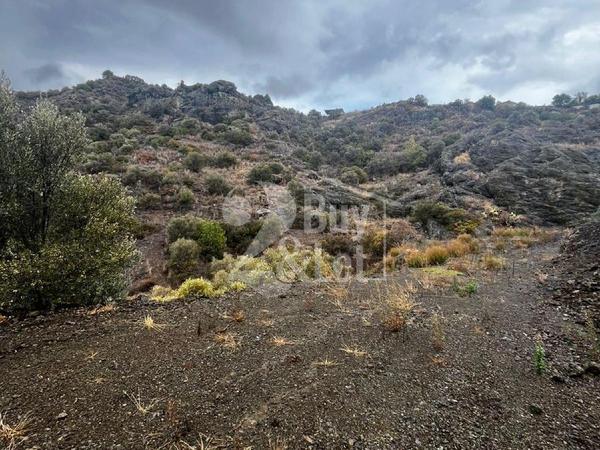 land for sale lageia larnaca 7619621 image 17911333
