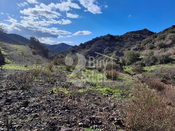 land for sale lageia larnaca 7619621 image 17911341
