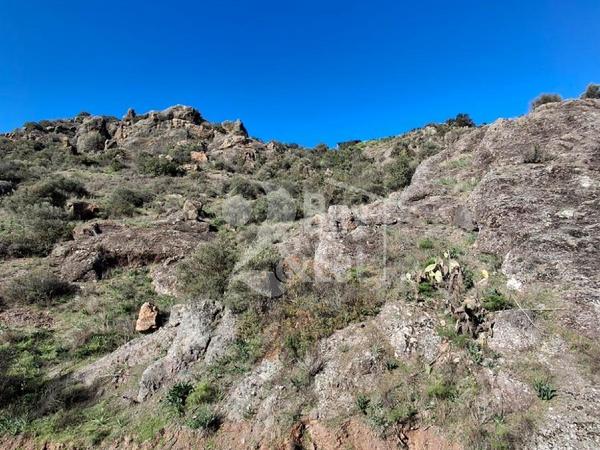 land for sale lageia larnaca 7619621 image 17911342
