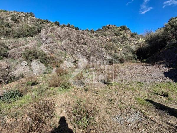 land for sale lageia larnaca 7619621 image 17911343