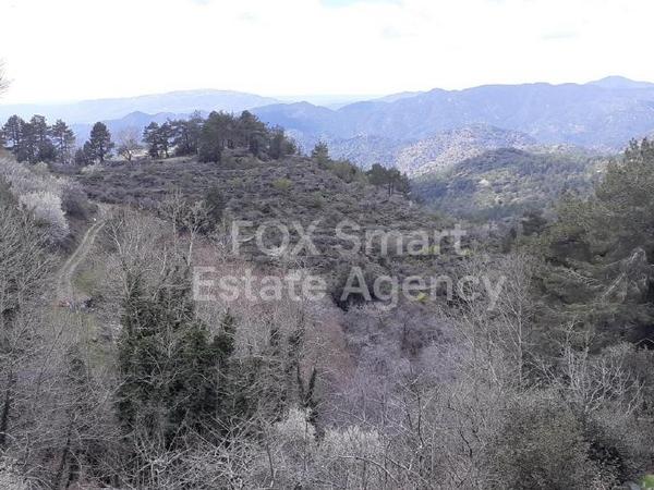 land for sale prodromos limassol 1180621 image 15608494