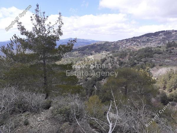 land for sale prodromos limassol 1180621 image 15608501