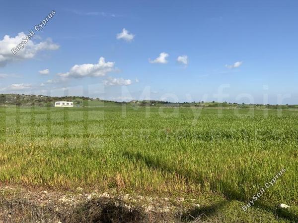 plot for sale alaminos larnaca 7870621 image 11378621