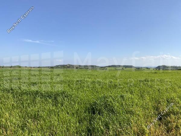 plot for sale alaminos larnaca 7870621 image 11378622