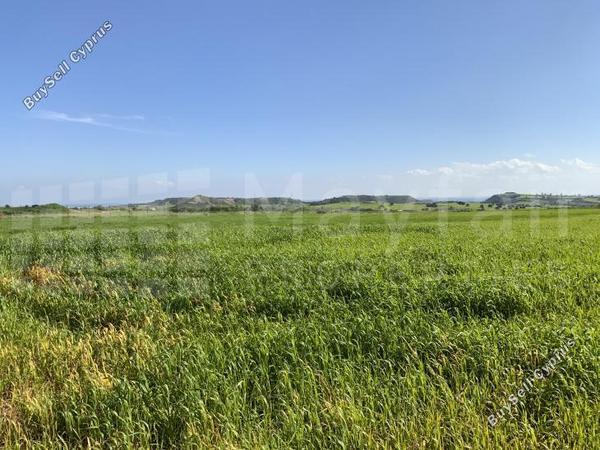 plot for sale alaminos larnaca 7870621 image 11378627