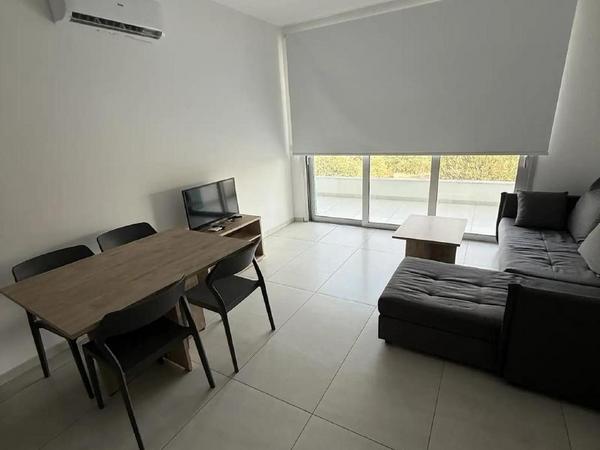 1 bedroom apartment for rent aglantzia nicosia 8565721 image 16336136