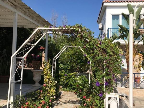 3 bedroom detached house for sale psematismenos larnaca 1383721 image 16119753