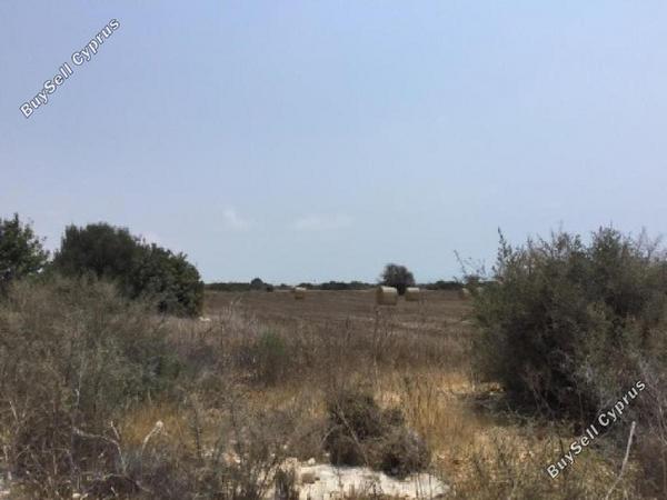 land for sale agios theodoros larnacas larnaca 8726721 image 16333525