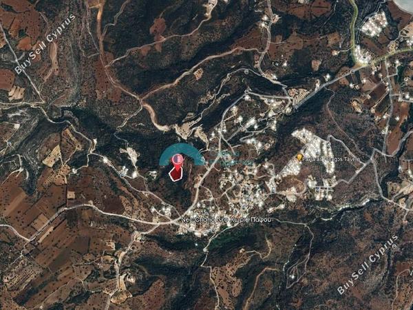 land for sale neo chorio paphos 1938721 image 16013685